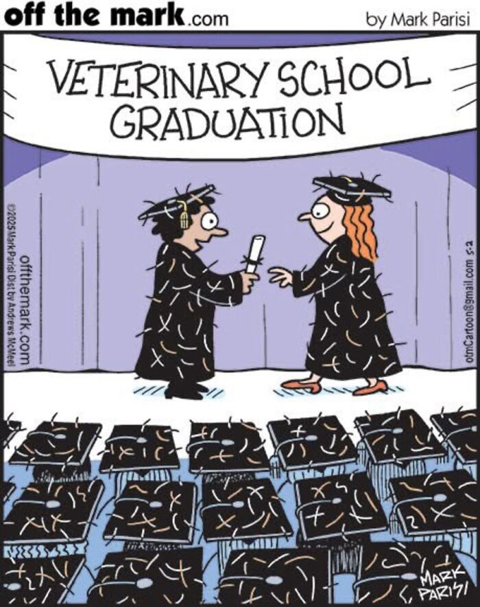 Hilarious Life With Cats Perfectly Captured In 36 New Comics By Mark Parisi Hilarious Life With Cats Perfectly Captured In 36 New Comics By Mark Parisi