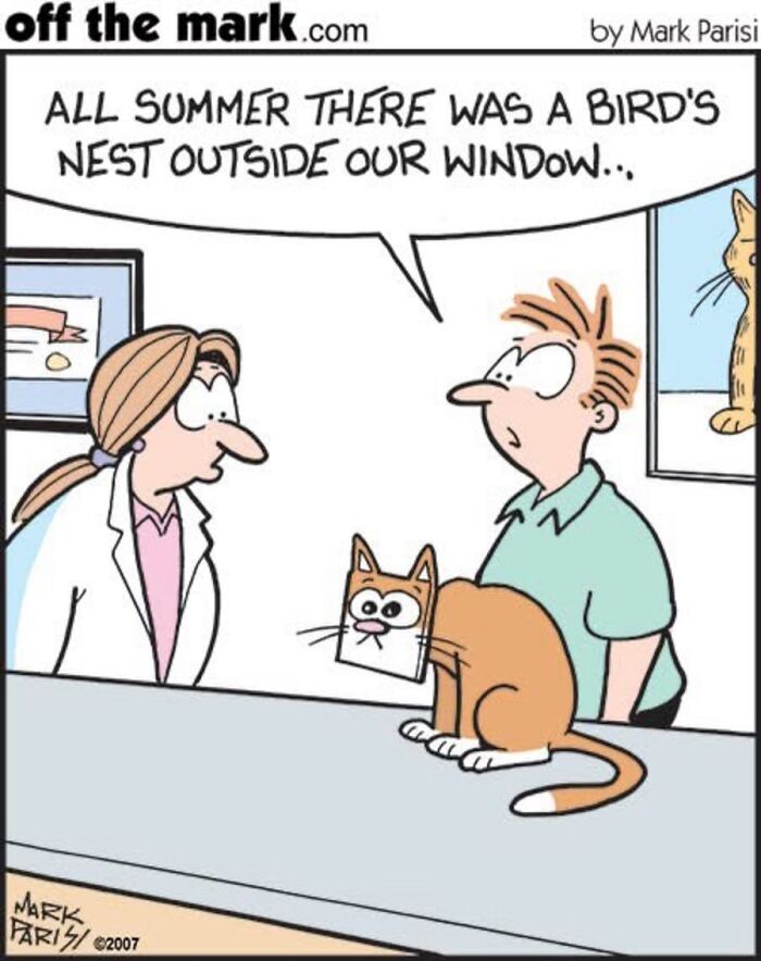 Hilarious Life With Cats Perfectly Captured In 36 New Comics By Mark Parisi Hilarious Life With Cats Perfectly Captured In 36 New Comics By Mark Parisi