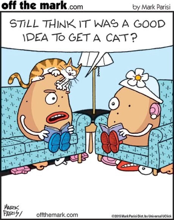 Hilarious Life With Cats Perfectly Captured In 36 New Comics By Mark Parisi Hilarious Life With Cats Perfectly Captured In 36 New Comics By Mark Parisi