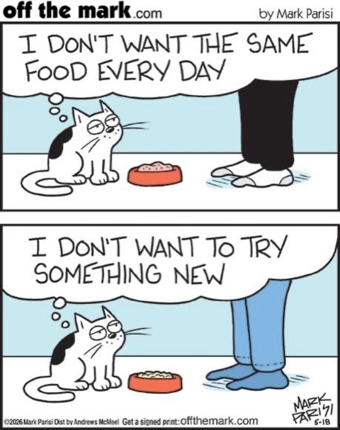 Hilarious Life With Cats Perfectly Captured In 36 New Comics By Mark Parisi Hilarious Life With Cats Perfectly Captured In 36 New Comics By Mark Parisi