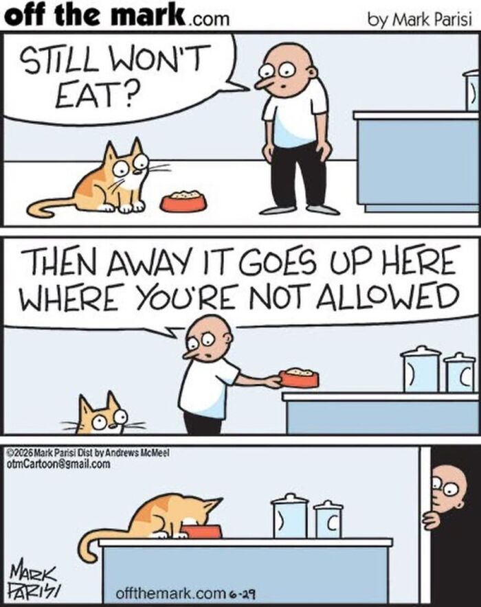 Hilarious Life With Cats Perfectly Captured In 36 New Comics By Mark Parisi Hilarious Life With Cats Perfectly Captured In 36 New Comics By Mark Parisi