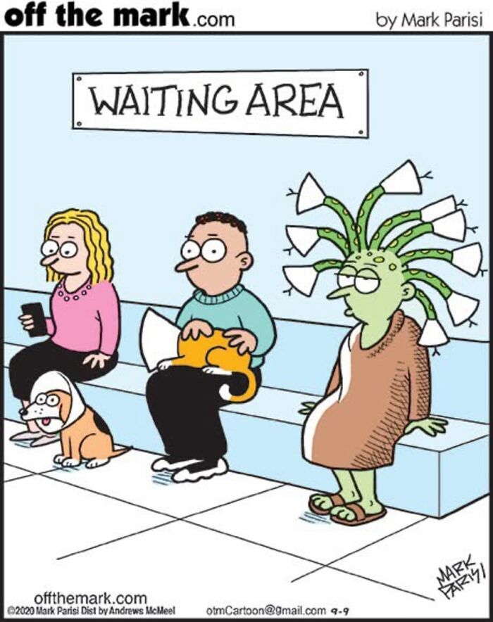 Hilarious Life With Cats Perfectly Captured In 36 New Comics By Mark Parisi Hilarious Life With Cats Perfectly Captured In 36 New Comics By Mark Parisi