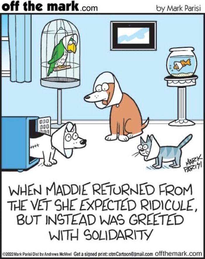 Hilarious Life With Cats Perfectly Captured In 36 New Comics By Mark Parisi Hilarious Life With Cats Perfectly Captured In 36 New Comics By Mark Parisi