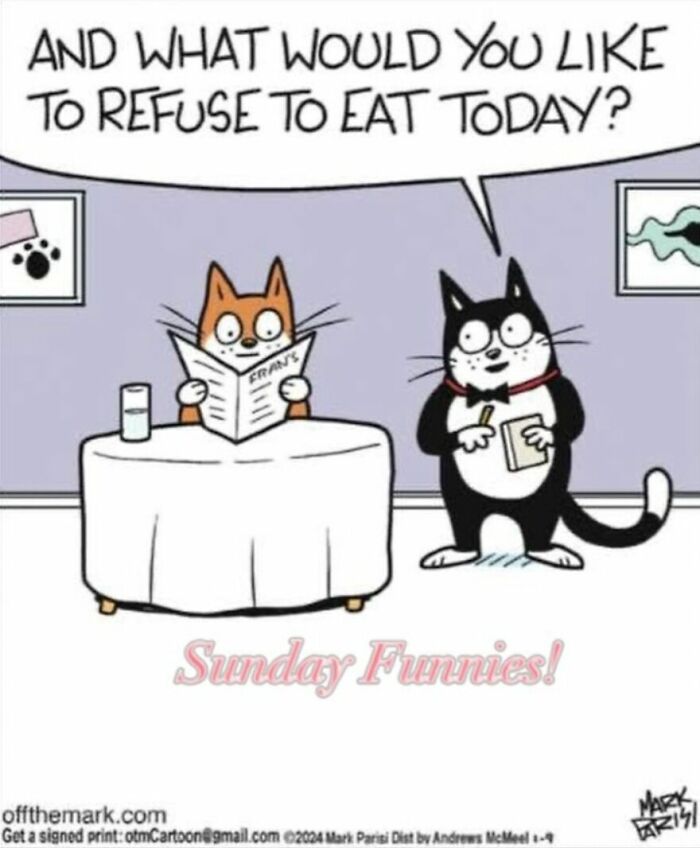 Hilarious Life With Cats Perfectly Captured In 36 New Comics By Mark Parisi Hilarious Life With Cats Perfectly Captured In 36 New Comics By Mark Parisi