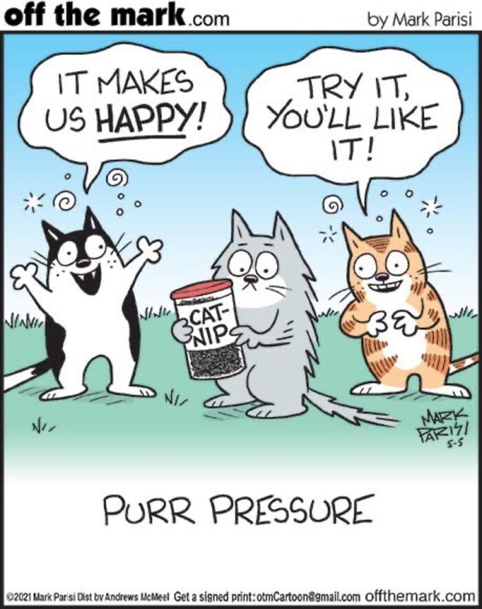 Hilarious Life With Cats Perfectly Captured In 36 New Comics By Mark Parisi Hilarious Life With Cats Perfectly Captured In 36 New Comics By Mark Parisi