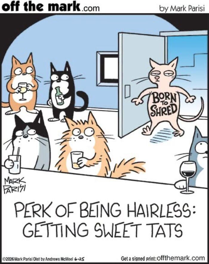 Hilarious Life With Cats Perfectly Captured In 36 New Comics By Mark Parisi Hilarious Life With Cats Perfectly Captured In 36 New Comics By Mark Parisi