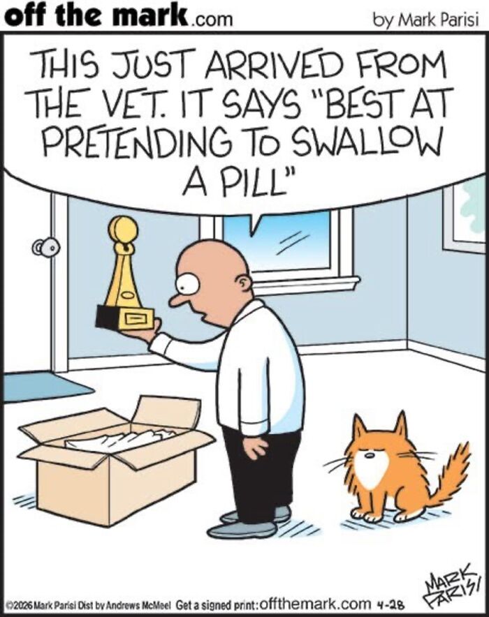 Hilarious Life With Cats Perfectly Captured In 36 New Comics By Mark Parisi Hilarious Life With Cats Perfectly Captured In 36 New Comics By Mark Parisi