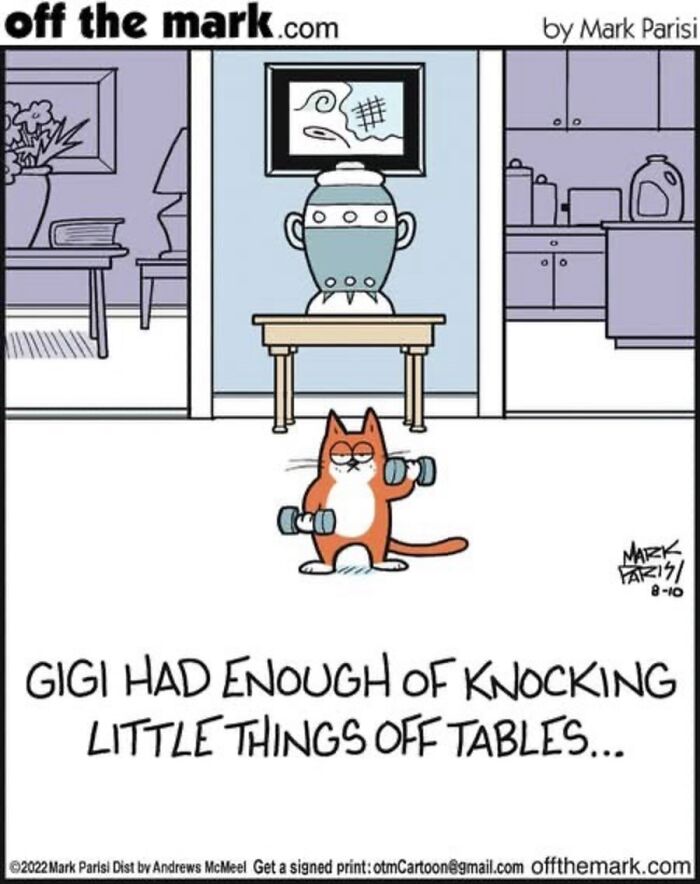 Hilarious Life With Cats Perfectly Captured In 36 New Comics By Mark Parisi Hilarious Life With Cats Perfectly Captured In 36 New Comics By Mark Parisi