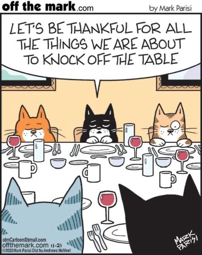 Hilarious Life With Cats Perfectly Captured In 36 New Comics By Mark Parisi Hilarious Life With Cats Perfectly Captured In 36 New Comics By Mark Parisi