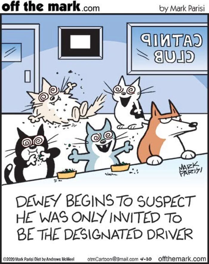 Hilarious Life With Cats Perfectly Captured In 36 New Comics By Mark Parisi Hilarious Life With Cats Perfectly Captured In 36 New Comics By Mark Parisi