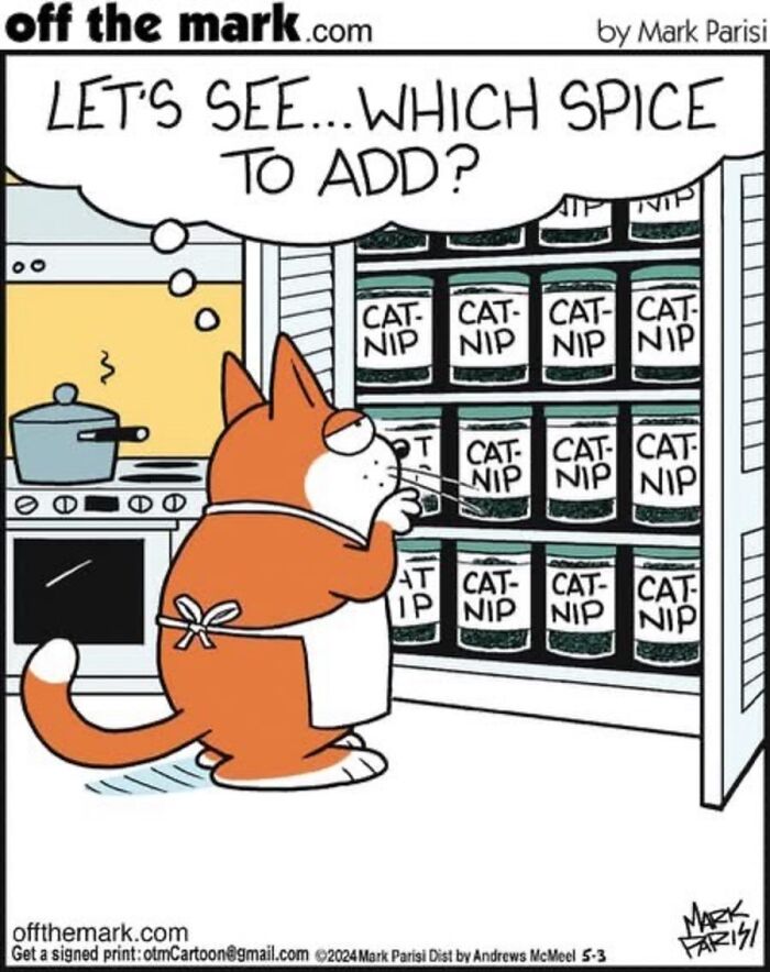 Hilarious Life With Cats Perfectly Captured In 36 New Comics By Mark Parisi Hilarious Life With Cats Perfectly Captured In 36 New Comics By Mark Parisi