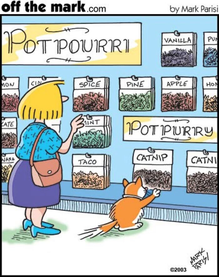 Hilarious Life With Cats Perfectly Captured In 36 New Comics By Mark Parisi Hilarious Life With Cats Perfectly Captured In 36 New Comics By Mark Parisi