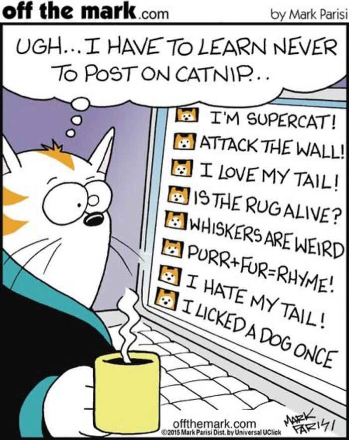 Hilarious Life With Cats Perfectly Captured In 36 New Comics By Mark Parisi Hilarious Life With Cats Perfectly Captured In 36 New Comics By Mark Parisi