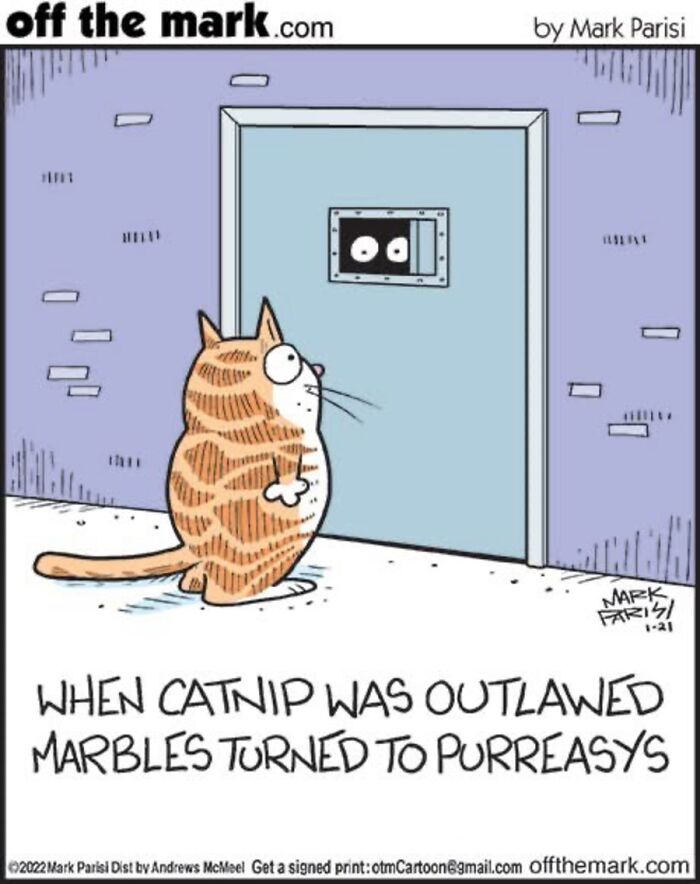 Hilarious Life With Cats Perfectly Captured In 36 New Comics By Mark Parisi Hilarious Life With Cats Perfectly Captured In 36 New Comics By Mark Parisi