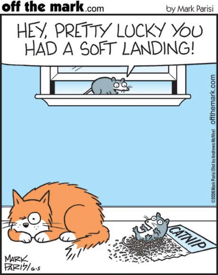 Hilarious Life With Cats Perfectly Captured In 36 New Comics By Mark Parisi Hilarious Life With Cats Perfectly Captured In 36 New Comics By Mark Parisi