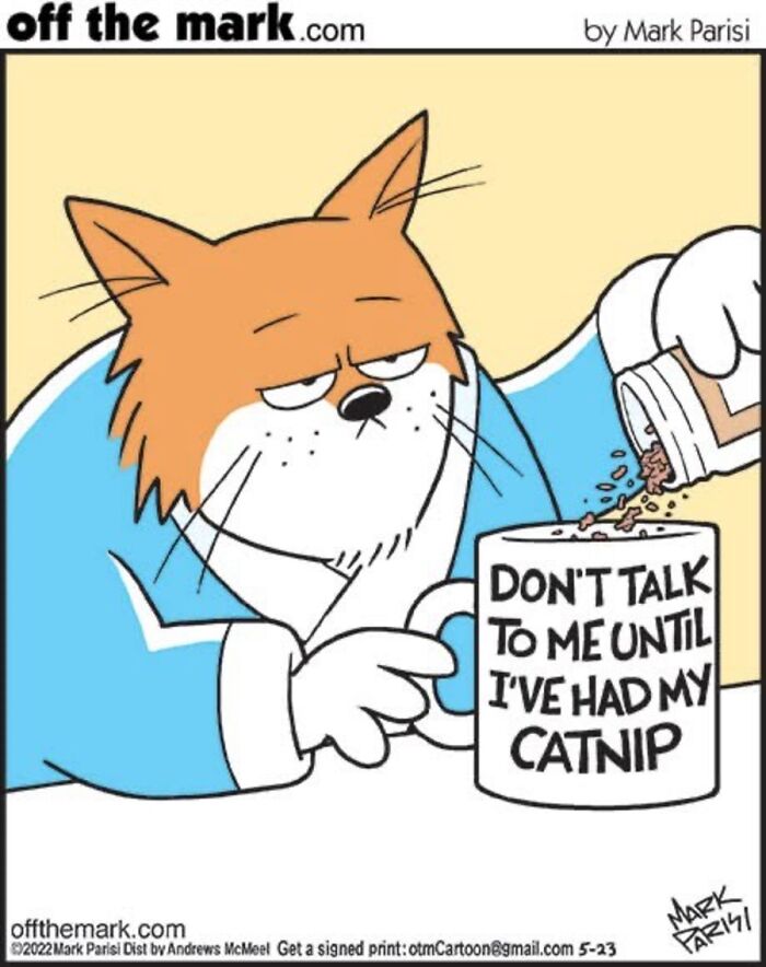 Hilarious Life With Cats Perfectly Captured In 36 New Comics By Mark Parisi Hilarious Life With Cats Perfectly Captured In 36 New Comics By Mark Parisi