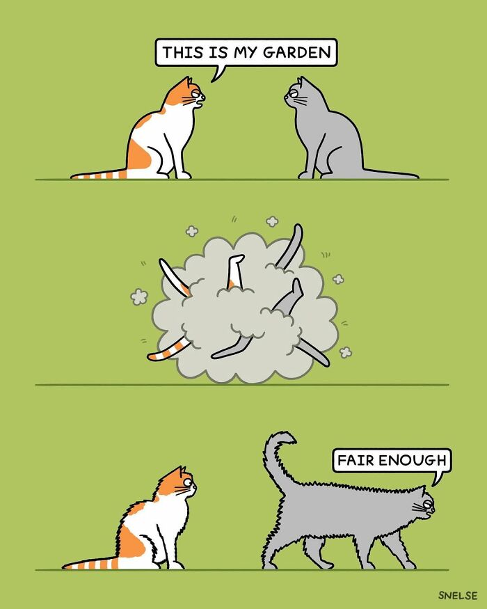 23 Ridiculously Absurd And Funny Cat Comics By Cartoonist Steve Nelson