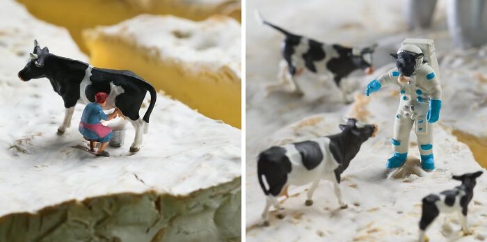 30 Imaginative Tiny Worlds Created By The Artistic Duo Behind ‘Minimiam’ (New Pics) 30 Imaginative Tiny Worlds Created By The Artistic Duo Behind ‘Minimiam’ (New Pics)