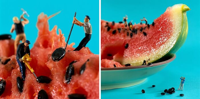 30 Imaginative Tiny Worlds Created By The Artistic Duo Behind ‘Minimiam’ (New Pics) 30 Imaginative Tiny Worlds Created By The Artistic Duo Behind ‘Minimiam’ (New Pics)