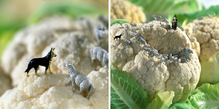 30 Imaginative Tiny Worlds Created By The Artistic Duo Behind ‘Minimiam’ (New Pics) 30 Imaginative Tiny Worlds Created By The Artistic Duo Behind ‘Minimiam’ (New Pics)
