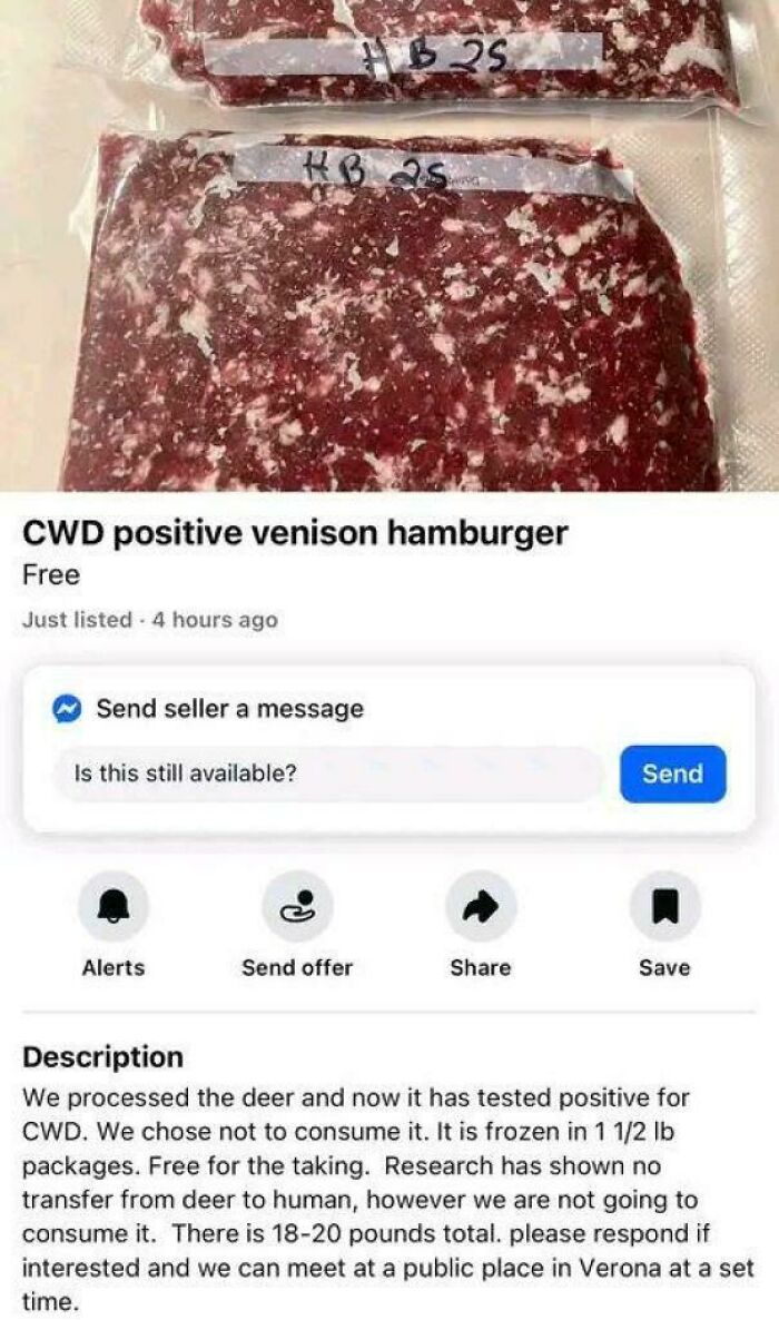 55 Dangerous Things People Did That Were Completely Unnecessary (New Pics) 55 Dangerous Things People Did That Were Completely Unnecessary (New Pics)