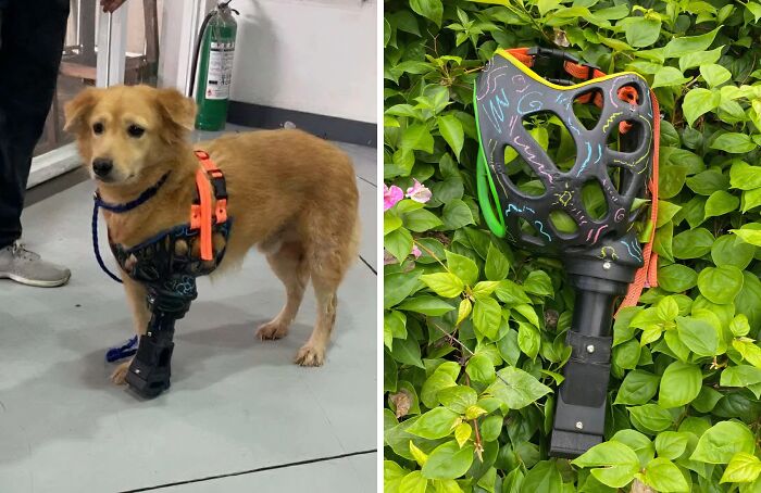 90 Times People Used 3D Printers To Make Brilliant Things They Couldn’t Find Anywhere Else 90 Times People Used 3D Printers To Make Brilliant Things They Couldn’t Find Anywhere Else