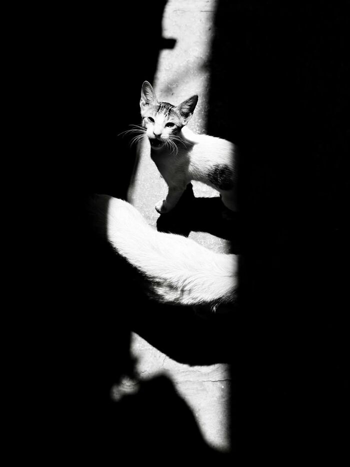 40 Images Shared By The Pure Street Photography Awards That Capture Life At Its Most Unexpected 40 Images Shared By The Pure Street Photography Awards That Capture Life At Its Most Unexpected