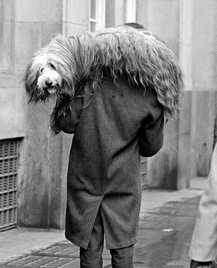 40 Images Shared By The Pure Street Photography Awards That Capture Life At Its Most Unexpected 40 Images Shared By The Pure Street Photography Awards That Capture Life At Its Most Unexpected