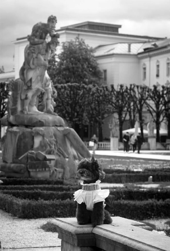40 Images Shared By The Pure Street Photography Awards That Capture Life At Its Most Unexpected 40 Images Shared By The Pure Street Photography Awards That Capture Life At Its Most Unexpected