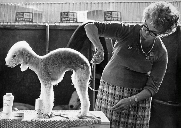40 Images Shared By The Pure Street Photography Awards That Capture Life At Its Most Unexpected 40 Images Shared By The Pure Street Photography Awards That Capture Life At Its Most Unexpected