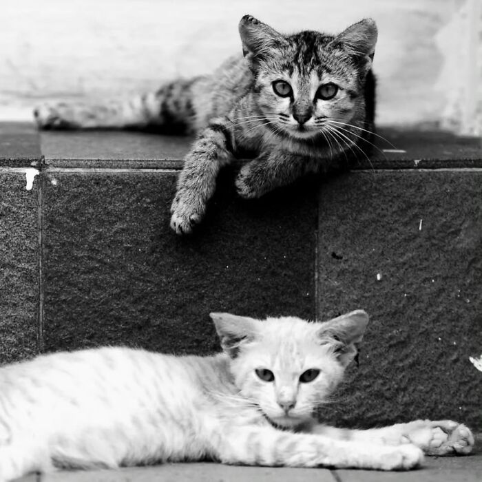 40 Images Shared By The Pure Street Photography Awards That Capture Life At Its Most Unexpected 40 Images Shared By The Pure Street Photography Awards That Capture Life At Its Most Unexpected