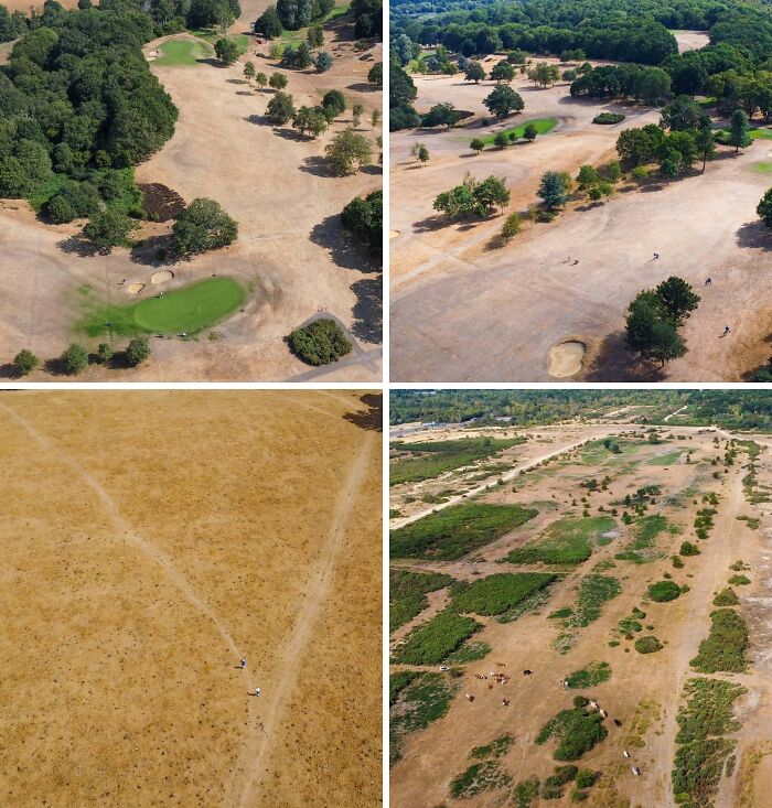 People Blame Politics As Europe Suffers The Most Brutal Drought In Years: “But What About Those Immigrants?” People Blame Politics As Europe Suffers The Most Brutal Drought In Years: “But What About Those Immigrants?”