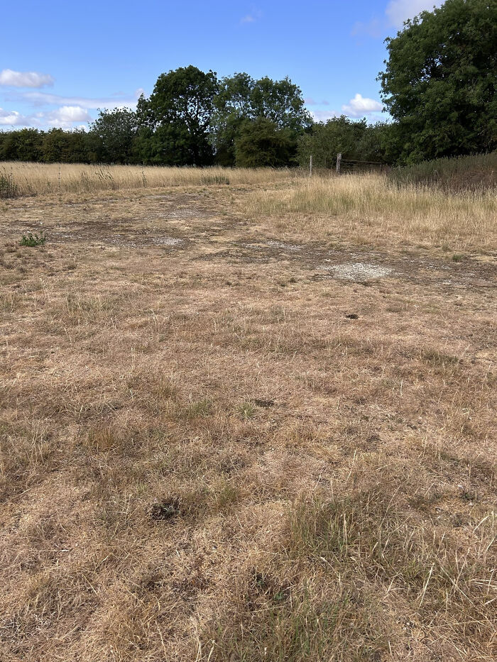 People Blame Politics As Europe Suffers The Most Brutal Drought In Years: “But What About Those Immigrants?” People Blame Politics As Europe Suffers The Most Brutal Drought In Years: “But What About Those Immigrants?”