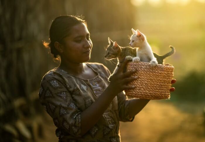 23 Street Cat Photos That Might Melt Your Heart By Guru Charan (New Pics) 23 Street Cat Photos That Might Melt Your Heart By Guru Charan (New Pics)