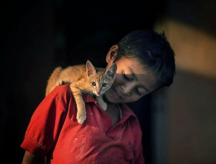 23 Street Cat Photos That Might Melt Your Heart By Guru Charan (New Pics) 23 Street Cat Photos That Might Melt Your Heart By Guru Charan (New Pics)