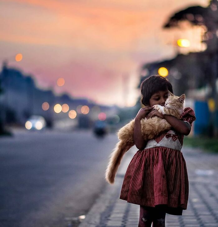23 Street Cat Photos That Might Melt Your Heart By Guru Charan (New Pics) 23 Street Cat Photos That Might Melt Your Heart By Guru Charan (New Pics)