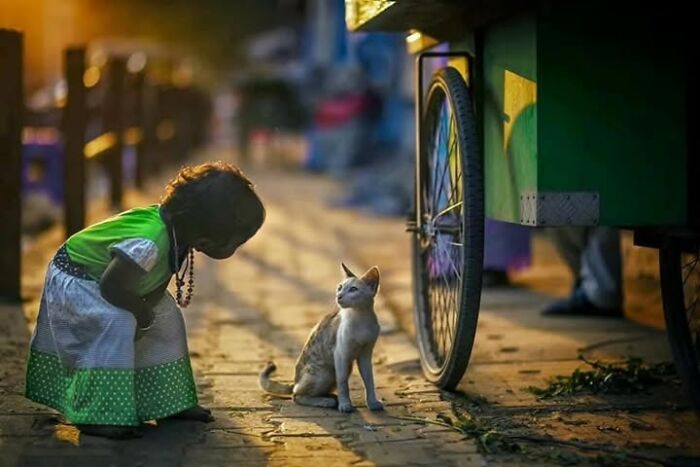 23 Street Cat Photos That Might Melt Your Heart By Guru Charan (New Pics) 23 Street Cat Photos That Might Melt Your Heart By Guru Charan (New Pics)