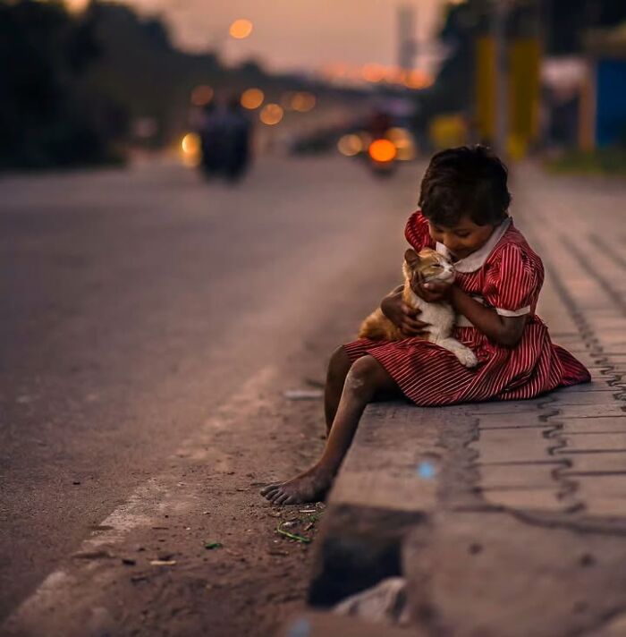 23 Street Cat Photos That Might Melt Your Heart By Guru Charan (New Pics) 23 Street Cat Photos That Might Melt Your Heart By Guru Charan (New Pics)
