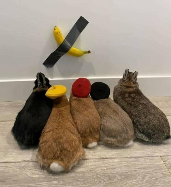 25 New Funny Animal Encounters Shared By This Page That Would Sound Fake If Not Caught On Camera