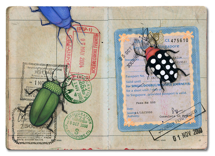 This Artist Transformed Her Late Father’s Passport Into A Beautiful Memory Capsule (16 Pics) This Artist Transformed Her Late Father’s Passport Into A Beautiful Memory Capsule (16 Pics)