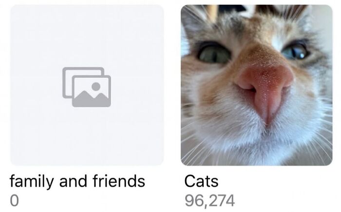 50 Cat Memes Shared By This Page That Perfectly Sum Up Life With A Tiny Four-Legged Menace 50 Cat Memes Shared By This Page That Perfectly Sum Up Life With A Tiny Four-Legged Menace