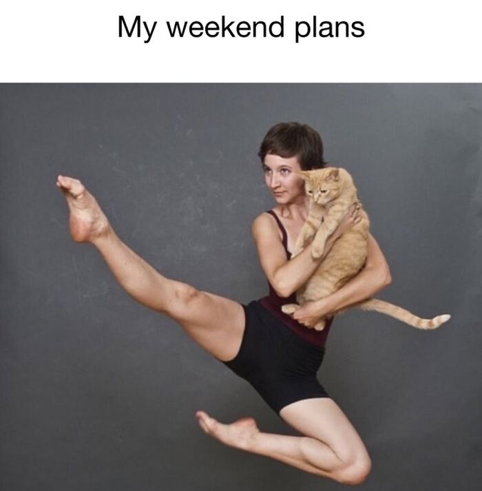 50 Cat Memes Shared By This Page That Perfectly Sum Up Life With A Tiny Four-Legged Menace 50 Cat Memes Shared By This Page That Perfectly Sum Up Life With A Tiny Four-Legged Menace