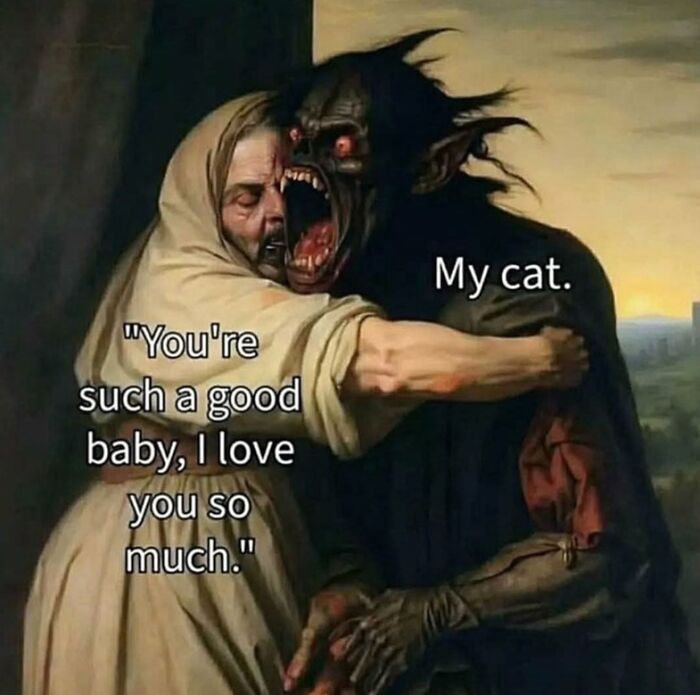 50 Cat Memes Shared By This Page That Perfectly Sum Up Life With A Tiny Four-Legged Menace 50 Cat Memes Shared By This Page That Perfectly Sum Up Life With A Tiny Four-Legged Menace
