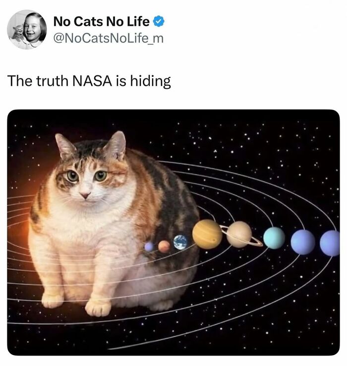 50 Cat Memes Shared By This Page That Perfectly Sum Up Life With A Tiny Four-Legged Menace 50 Cat Memes Shared By This Page That Perfectly Sum Up Life With A Tiny Four-Legged Menace