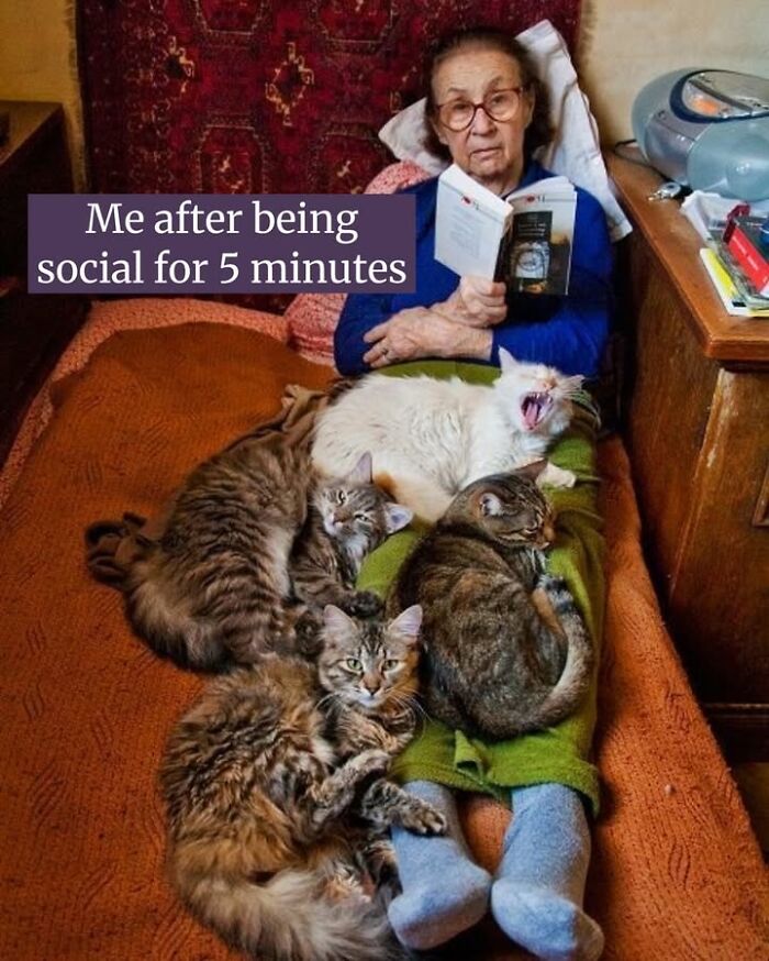 50 Cat Memes Shared By This Page That Perfectly Sum Up Life With A Tiny Four-Legged Menace 50 Cat Memes Shared By This Page That Perfectly Sum Up Life With A Tiny Four-Legged Menace