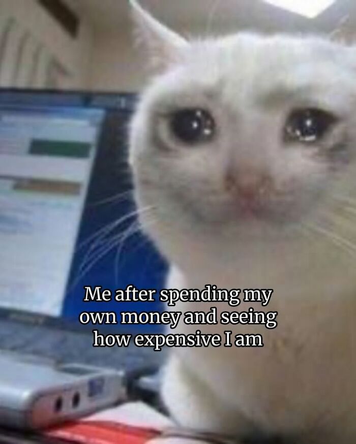 50 Cat Memes Shared By This Page That Perfectly Sum Up Life With A Tiny Four-Legged Menace 50 Cat Memes Shared By This Page That Perfectly Sum Up Life With A Tiny Four-Legged Menace