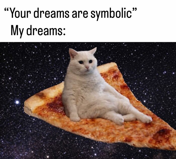 50 Cat Memes Shared By This Page That Perfectly Sum Up Life With A Tiny Four-Legged Menace 50 Cat Memes Shared By This Page That Perfectly Sum Up Life With A Tiny Four-Legged Menace