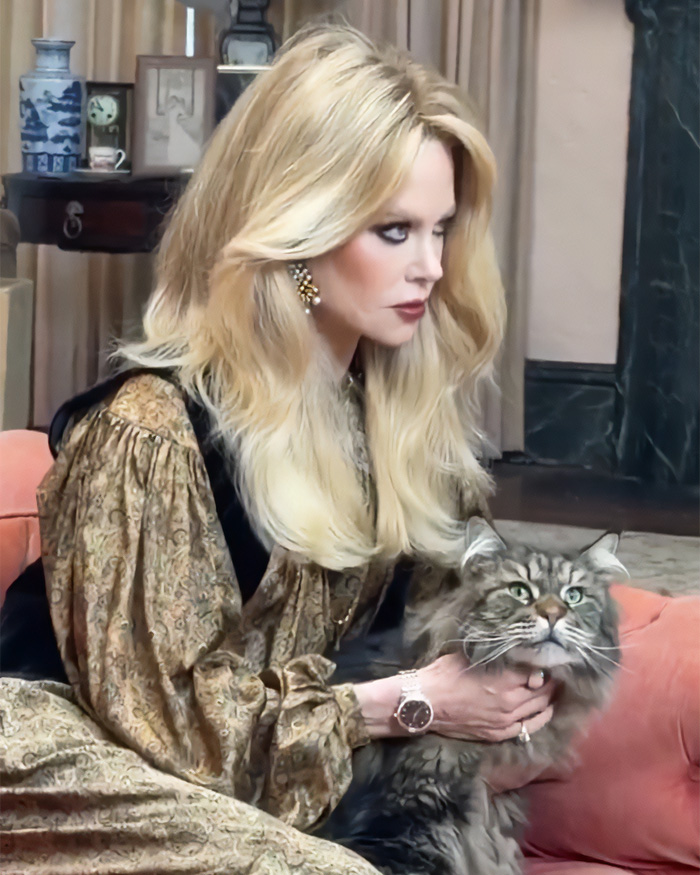 “That Is NOT Nicole Kidman”: Plastic Surgeon Weighs In On Why Actress Looks So Different In New Photos “That Is NOT Nicole Kidman”: Plastic Surgeon Weighs In On Why Actress Looks So Different In New Photos