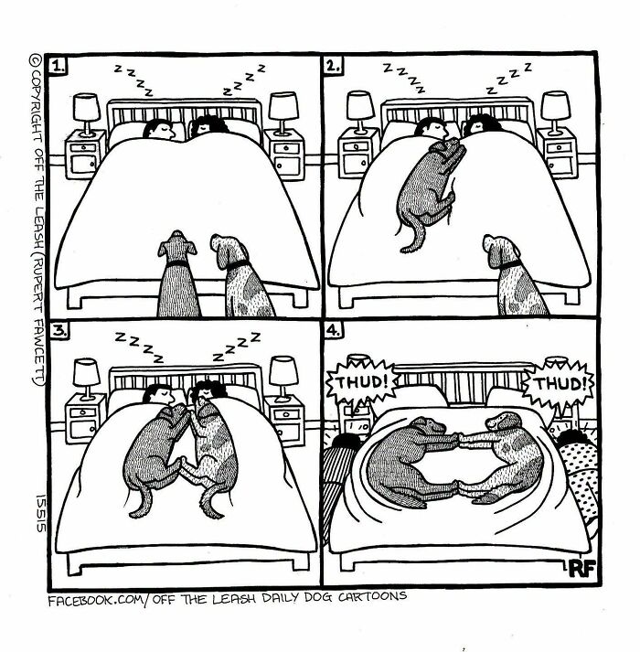 25 New “Off The Leash” Comics That Perfectly Capture Life With Dogs 25 New “Off The Leash” Comics That Perfectly Capture Life With Dogs