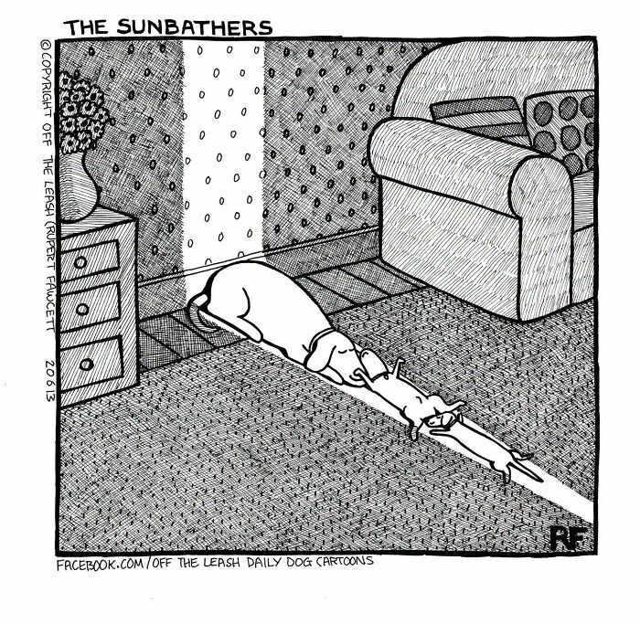 25 New “Off The Leash” Comics That Perfectly Capture Life With Dogs 25 New “Off The Leash” Comics That Perfectly Capture Life With Dogs